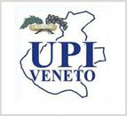 upi partner